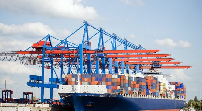 Thông tin 32 hãng tàu trong vận chuyển hàng hóa xuất nhập khẩu