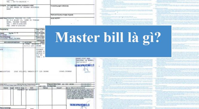 Master Bill (MBL) là gì? phân biệt MBL và HBL