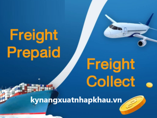 Freight Prepaid là gì? Sự khác biệt giữa Freight collect và Freight prepaid