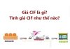 Giá CIF là gì? Tính giá CIF như thế nào?