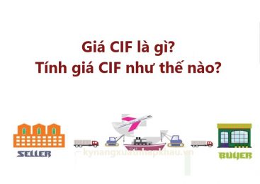 Giá CIF là gì? Tính giá CIF như thế nào?