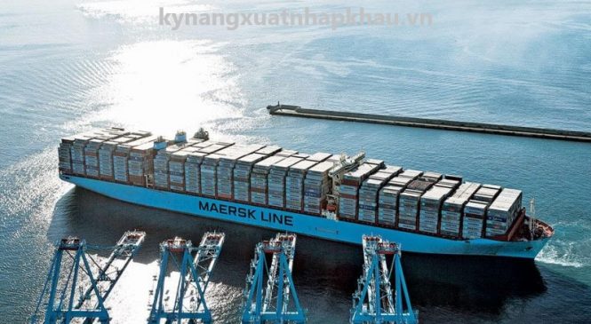 Hãng Tàu Maersk – Hãng Tàu Container Lớn Nhất Thế Giới