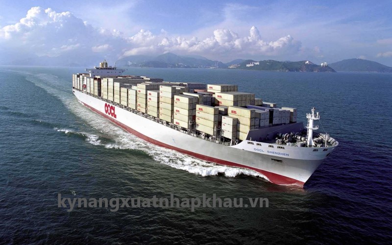 Hãng Tàu OOCL - Hãng Tàu Container Lớn Nhất Hồng Kông