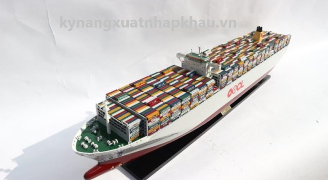 Hãng Tàu OOCL – Hãng Tàu Container Lớn Nhất Hồng Kông