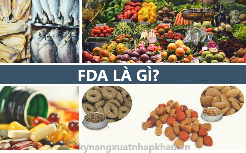 FDA Là Gì? Thủ Tục Xin Giấy Chứng Nhận FDA