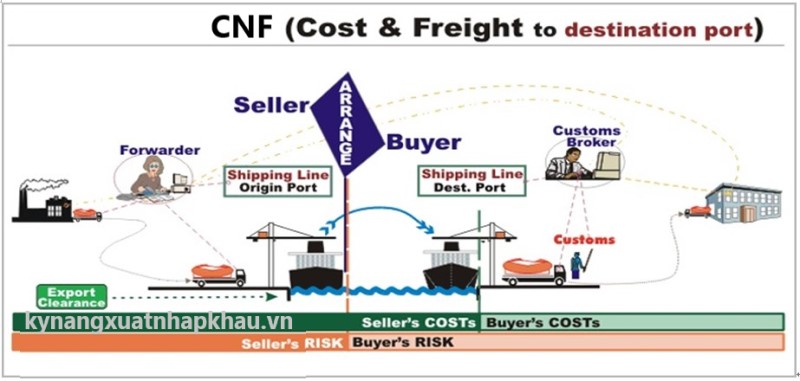 CNF Là Gì? Cách Tính Giá CNF Incoterms 2010