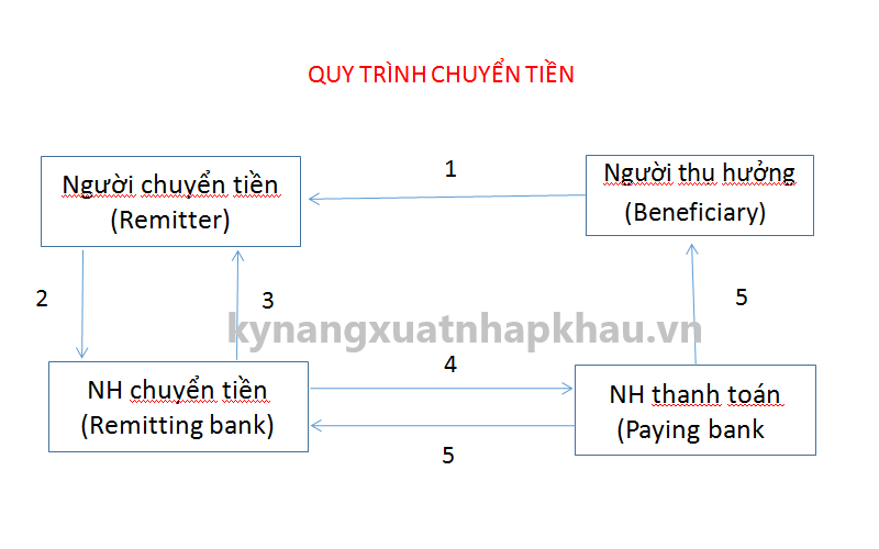 Quy Trình Thanh Toán TT (Telegraphic Transfer) 