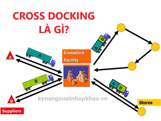 Cross Docking Là Gì? Ưu Nhược Điểm Của Cross Docking Là Gì?