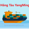 Hãng Tàu Yang Ming – Hãng Tàu Container Lớn Của Đài Loan