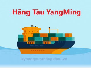 Hãng Tàu Yang Ming - Hãng Tàu Container Lớn Của Đài Loan