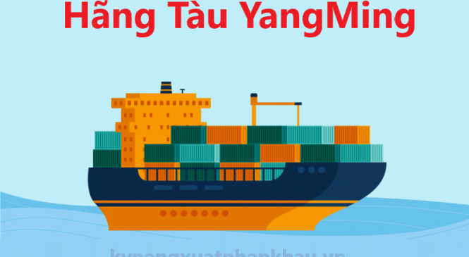 Hãng Tàu Yang Ming – Hãng Tàu Container Lớn Của Đài Loan