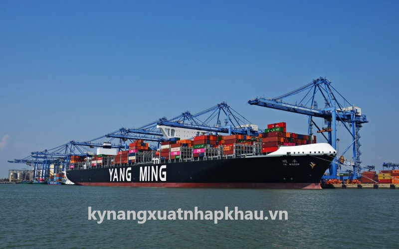 Hãng Tàu Yang Ming - Hãng Tàu Container Lớn Của Đài Loan