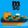 Hãng Tàu MSC- Hãng Tàu Container Lớn Thứ 2 Thế Giới