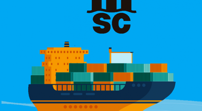 Hãng Tàu MSC- Hãng Tàu Container Lớn Thứ 2 Thế Giới