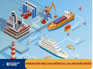 Phân Biệt Mã Loại Hình A11, A12